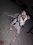 david lieu 51 NY