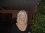 robin diffenderfer 62 NC