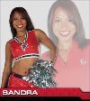 sandra fields