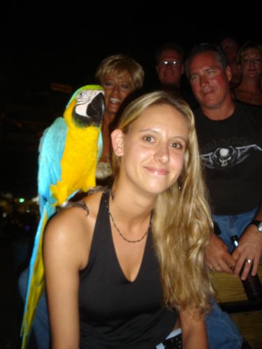 Sarah Singleterry