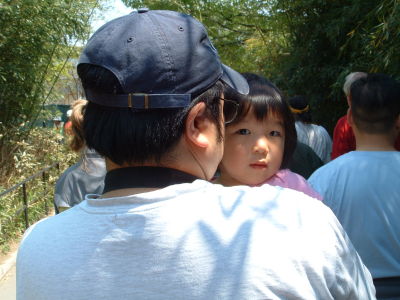 david chen