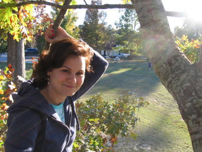 linda hollis