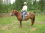 steven scott 65 WA