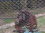 andrew devore 55 AZ
