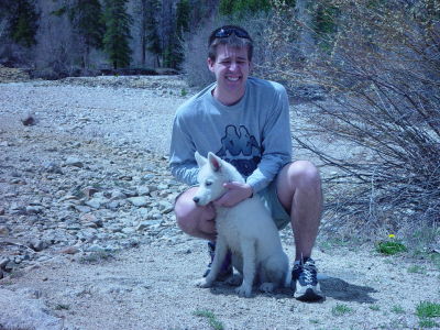 Brent Seiferd