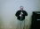 randy crabtree 65 WA