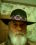 steven smith 73 OK