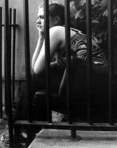 Carole Walsh