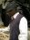 kenneth browder 54 FL