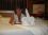 lois crabtree 67 FL