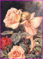 Peggy Stockwell