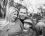stephen lang 64 FL