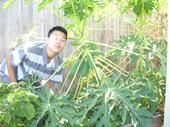 anh phan
