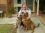 steven johnson 59 WI