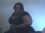 ruby butler 65 OK
