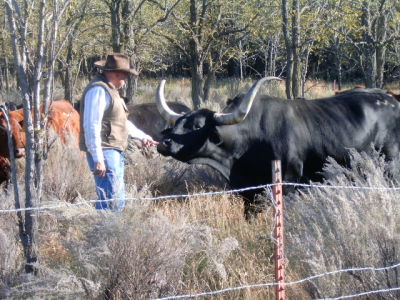 russell rutledge