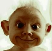 andres quintero