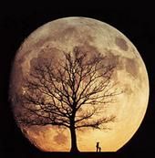 Timothy Moon