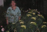 Patricia Sawall