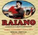 Brian Raiano