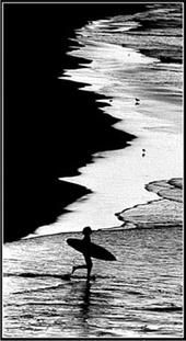 jody sharp