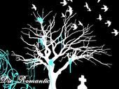 Rolanda Crabtree