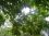lynn roundtree 63 CO