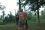 deborah gresham 70 TX