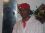 michael sampson 50 MD