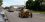 james schell 71 KS