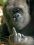 john jacobs 72 WI