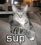 steven arthur 46 WI