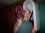 david blevins 36 CO