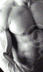 Steven Grossmeyer