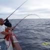 Rodney Fish