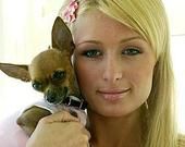 Marlyne Rayome