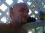 jason stringfield 39 RI