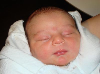 Sheri Greenberg