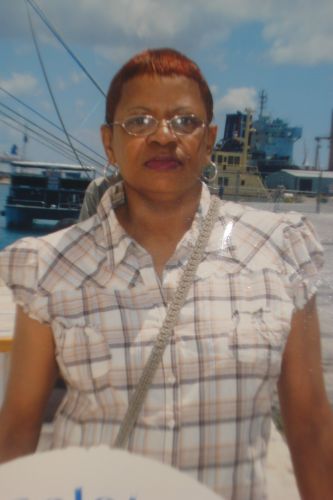 elaine johnson