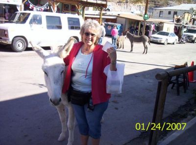 Darlene Haberman