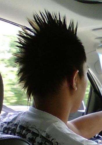 tung nguyen