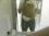 steven gordon 49 NY