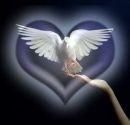Debra Boan