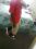 joshua anderson 32 FL