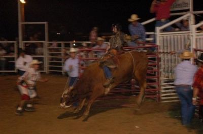 dustin neal