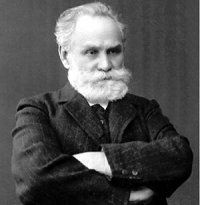 adam phelps