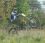 andrew blevins 51 KY