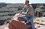 robert daniels 78 FL