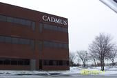 Cadmus Casey