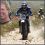 steven richards 66 AZ
